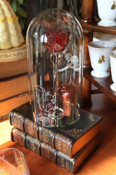 a wine glass sitting on top of an old book