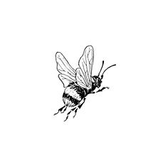 a black and white drawing of a bee