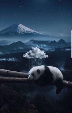 a panda bear sleeping on top of a tree branch in front of a night sky