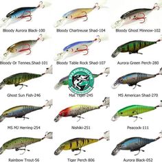 the different types of fishing lures are shown in this chart, with each one being colored