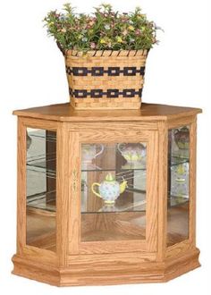 a corner with a potted plant on top of it and a glass case in the middle