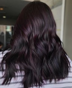 Dark Hair Violet Highlights, Eggplant Hair Color With Highlights Dark Purple, Dark Brown Hair With Hints Of Purple, Eggplant Black Hair, Purple Toned Black Hair, Dark Hair Violet Undertone, Dark Plum Black Hair, Dark Brown With Plum Highlights, Deep Eggplant Hair Color