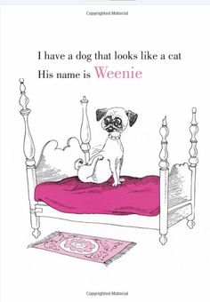 a dog sitting on top of a bed with a pink blanket and the caption i have a dog that looks like a cat his name is weenie