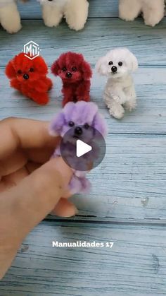 a person is holding small poodles in their hand