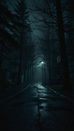 a dark street at night with the lights on and trees in the foreground,