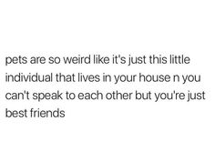 a white background with the words pets are so weird like it's just little individual that lives in your house you can't speak to each other but you're just best friends