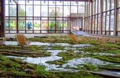 the inside of an abandoned building with moss growing on the floor and in the windows