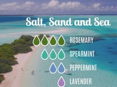 Sea Salt Essential Oil Blend, Salt Diffuser