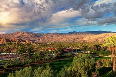 palm trees and mountains in the background under a cloudy sky