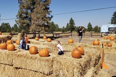 two children are sitting on hay bales with pumpkins in the foreground and an adult standing behind them