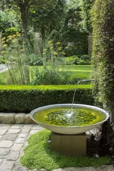 a water fountain in the middle of a garden