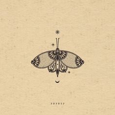 a drawing of a moth on top of a piece of paper with the words, venus