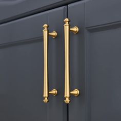 an image of two handles on the door knobs in dark blue and gold colors