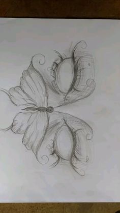 a pencil drawing of two butterflies on paper