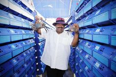 a man is standing in front of stacks of blue boxes with his hands on the sides