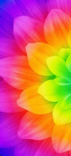 a colorful flower is shown in this image