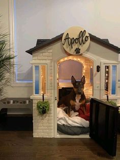 a dog is sitting in his kennel that has lights on the top and bottom