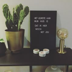 a potted plant sitting on top of a table next to two rolls of toilet paper