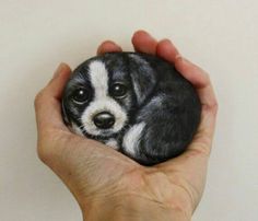 a hand holding a small black and white puppy