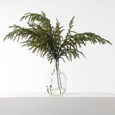 a plant in a glass vase sitting on a table with white wall behind it,