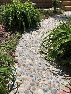 there is a stone path in the garden