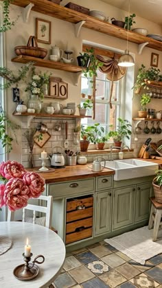 a kitchen filled with lots of potted plants