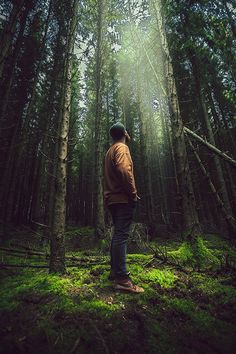 a man standing in the middle of a forest looking up at the sun shining through the trees