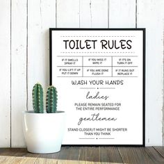 a toilet rules poster next to a potted cactus