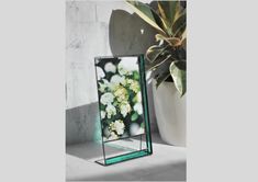 a mirror sitting on top of a table next to a potted plant and white flowers