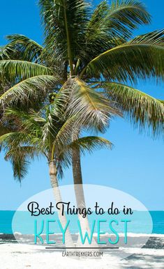 a palm tree on the beach with text overlay saying best things to do in key west