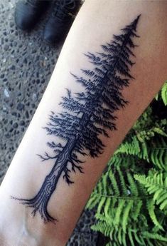 a black and white photo of a pine tree tattoo on the left arm, with green ferns in the background