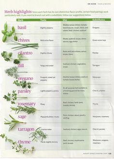 a poster with herbs and their names on it