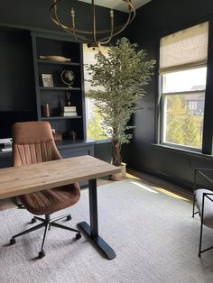 an office with a desk, chair and plant in the corner on carpeted floor