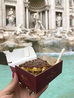 a person holding up a box with food in front of the trellotto fountain