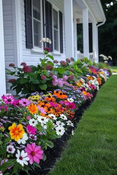 a row of flowers in front of a white house with black edging on the grass