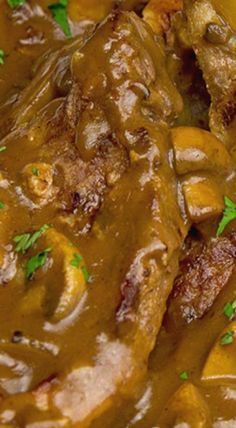 closeup of meat and gravy on a plate with garnishes