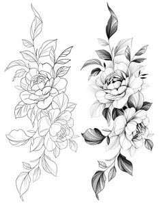 two flowers are shown in black and white, one is drawn with pencil on paper