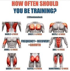 an image of how often should you be training?