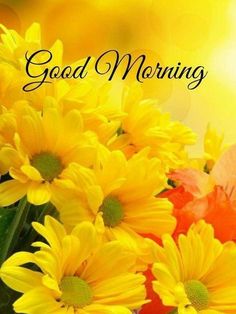 yellow flowers with the words good morning written on it in front of a bright background