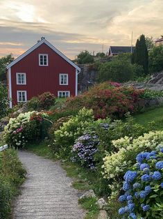 a red house sitting on top of a lush green hillside next to blue and white flowers