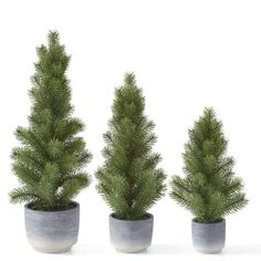 three potted trees in different shapes and sizes