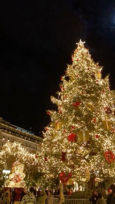 a large christmas tree is lit up at night