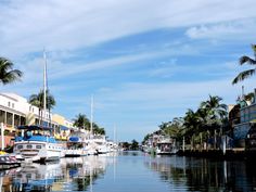 several boats are docked in the water next to buildings and palm trees on either side