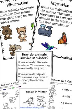 four different animal activities for children to learn with their teacher's hand - written instructions