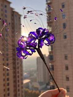 a hand holding a purple flower in front of tall buildings