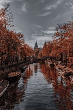 boats are lined up along the side of a river in front of buildings and trees