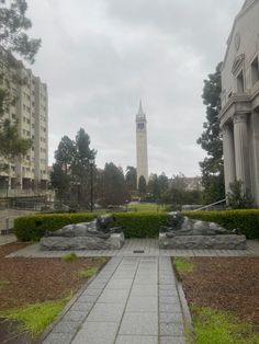 a clock tower towering over a city park