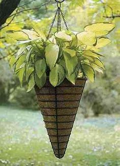 a hanging planter filled with green leaves