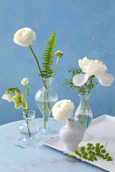 three vases filled with white flowers on top of a table