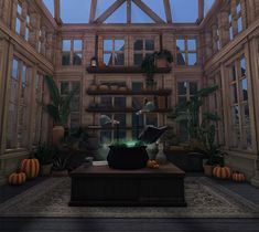 a room filled with lots of windows next to potted plants and pumpkins on the floor